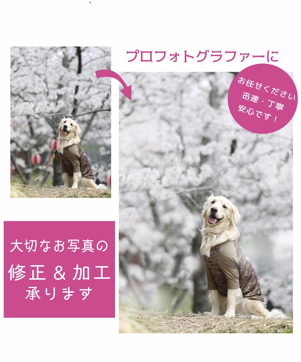 プロフォトグラファーが自然に美しくレタッチします 大切な写真をより美しく！気になる点を修正、加工いたします！ イメージ1