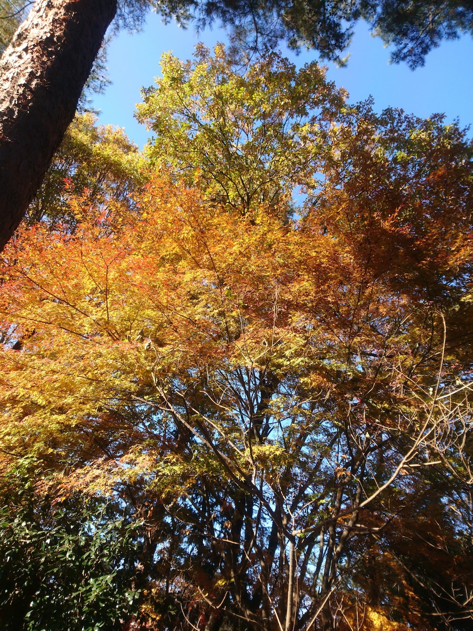 お話聞きます 女性にしかできない相談ありませんか？ イメージ2