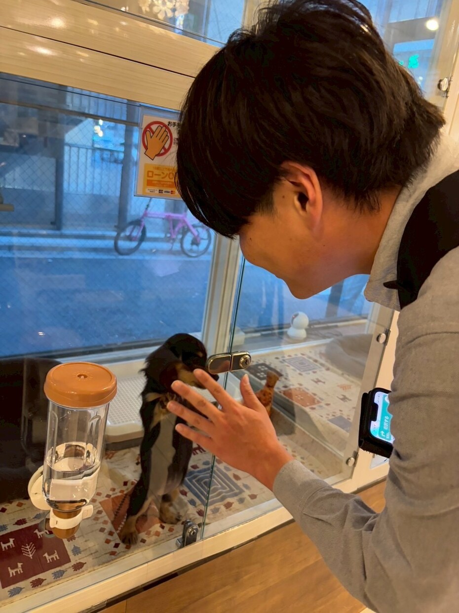 冷静だけど誠実なアドバイスをお届けします 恋のモヤモヤ、冷静×優しさで解決します イメージ2