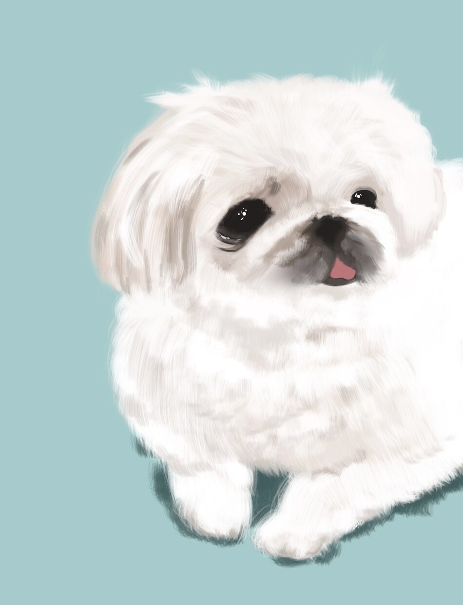 あなたのペットの絵を描きます 可愛い家族の絵はいかがですか？ イメージ4