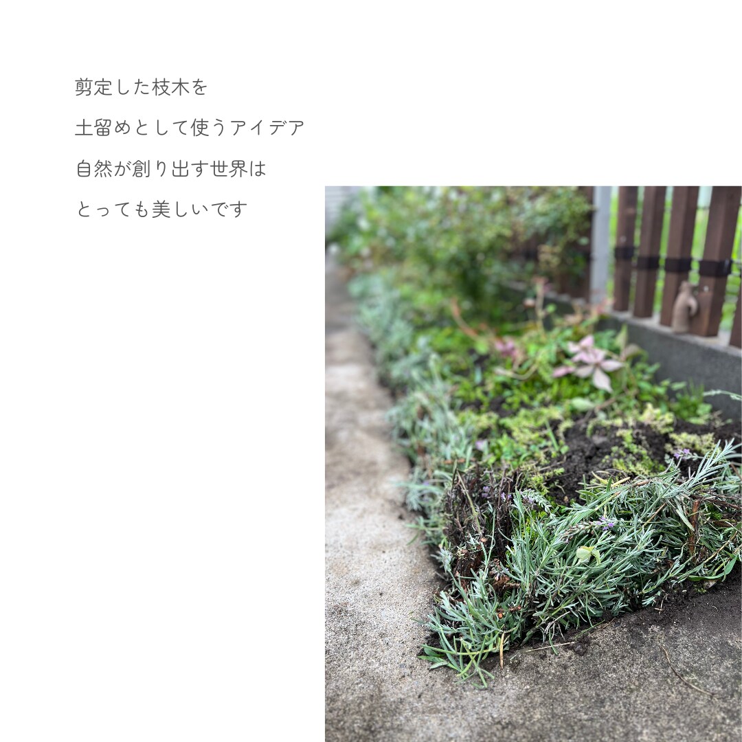 循環する庭作りの相談にのります 農薬や化学肥料に頼らない庭作りを一緒に考えましょう イメージ7