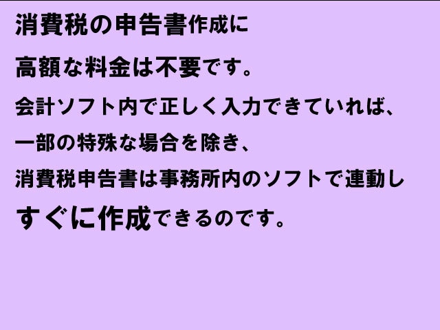 東京の税理士法人が法人税・消費税を電子申告します 満枠でも対応！セルフ方式適正価格の法人税・地方税・消費税申告 イメージ5