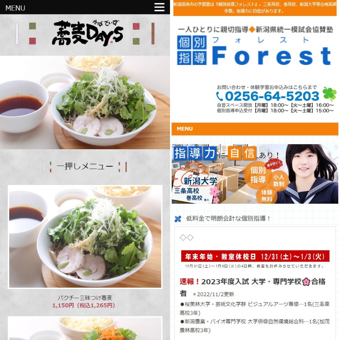 プロがデザイン集客に強いHPを制作します 歴18年！初心者でも安心！ご依頼前の相談もOK！ イメージ6