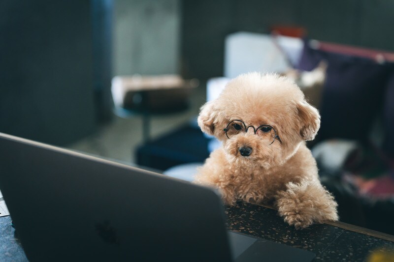 Officeソフトのオンラインレッスンをします エクセル・ワード・パワーポイントの知りたいポイントをお伝え イメージ1