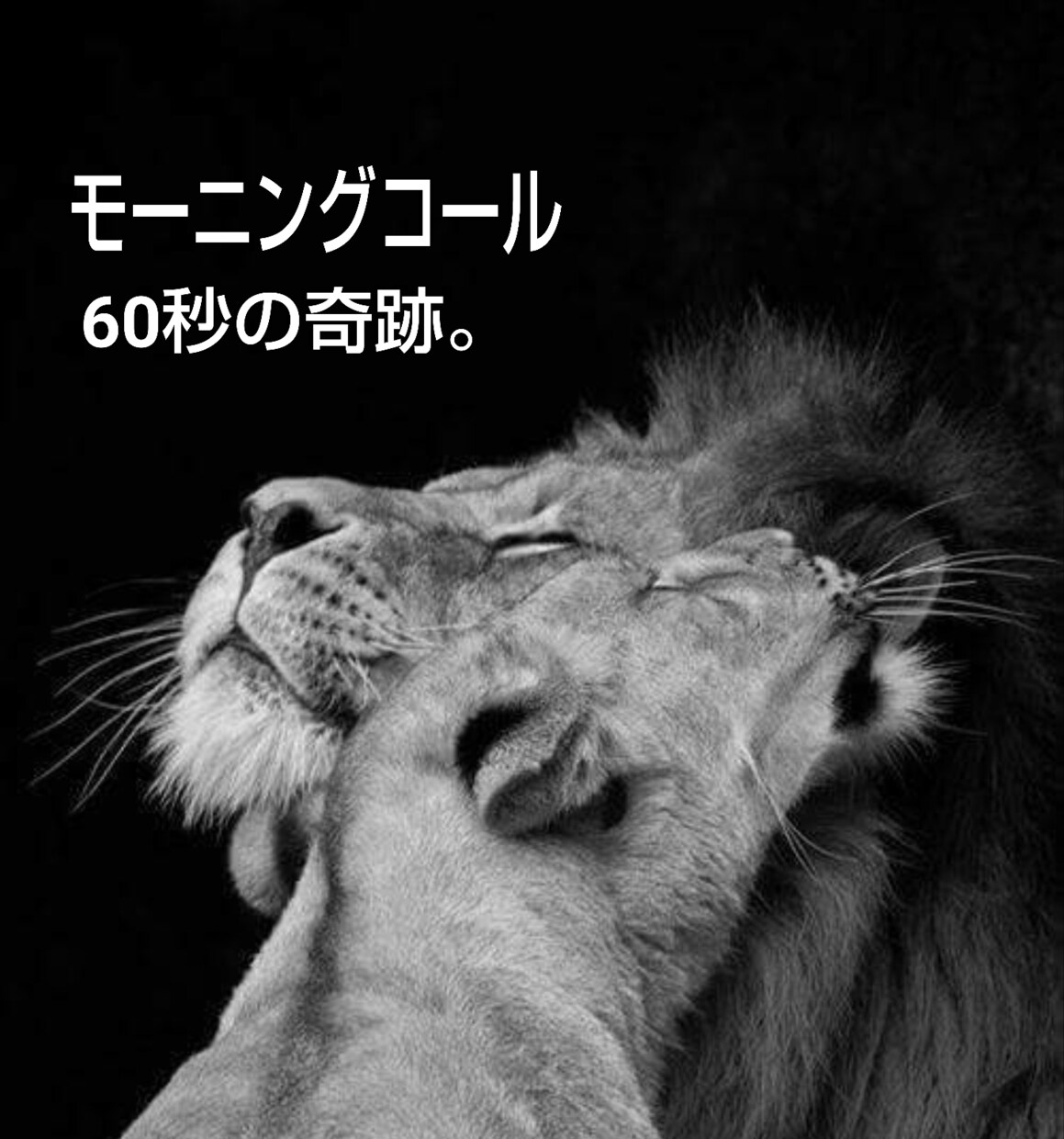 女性限定：癒しと勇気づけのモーニングコールをします 100日で夢を叶えたい貴女様へ…未来の記憶を思い出させます。 イメージ6