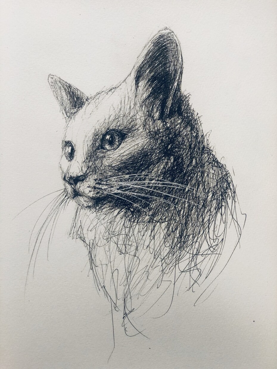 最高にオシャレなペットの似顔絵描きます 素敵さを最大限にオシャレに引き出します！ イメージ1