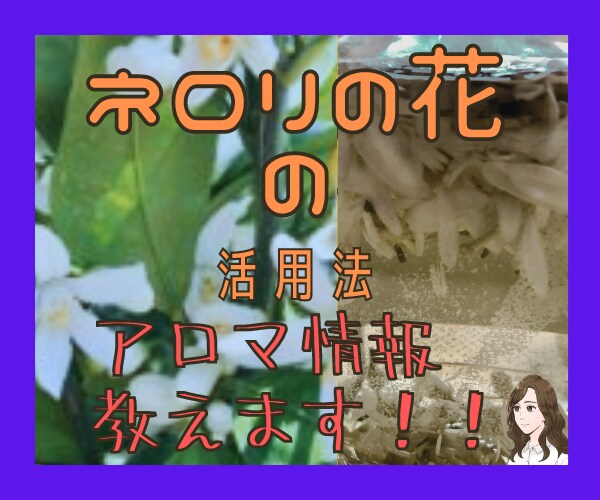 あなたを丸ごと優しく包み込むような存在があります オレンジの花から採れるネロリの香りで癒します(✿✿） イメージ1