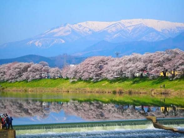 東北エリアで写真・動画の出張撮影します 大手カメラメーカー現役勤務の確かな技術！プロカメラマンを派遣 イメージ1