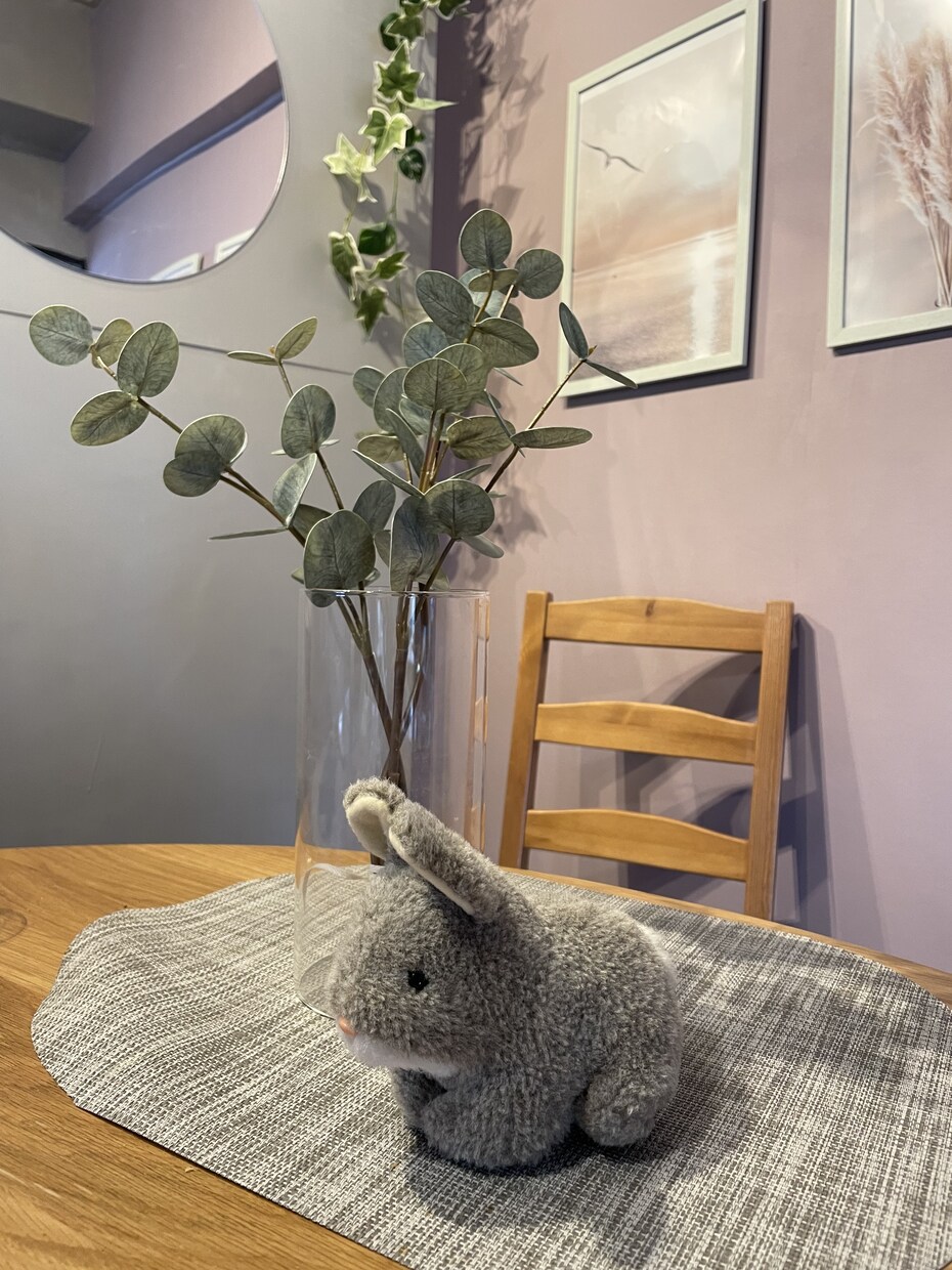 超スパルタ！お片付けアドバイスします ズバッと言います！業界初ドSなお片付けサポート！ イメージ6