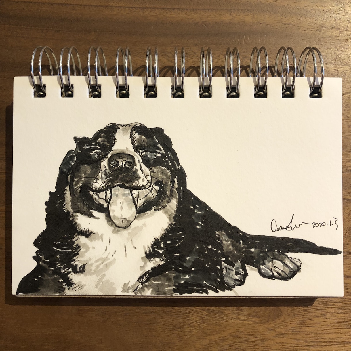 動物の似顔絵とイラストを描きます 色鉛筆とアーティストペン、どちらでも描けます！ イメージ5