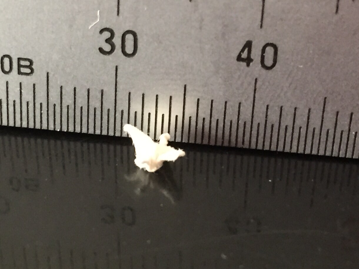 小さい鶴折ります お守りや飾り・小さい物が好きな方へ イメージ1