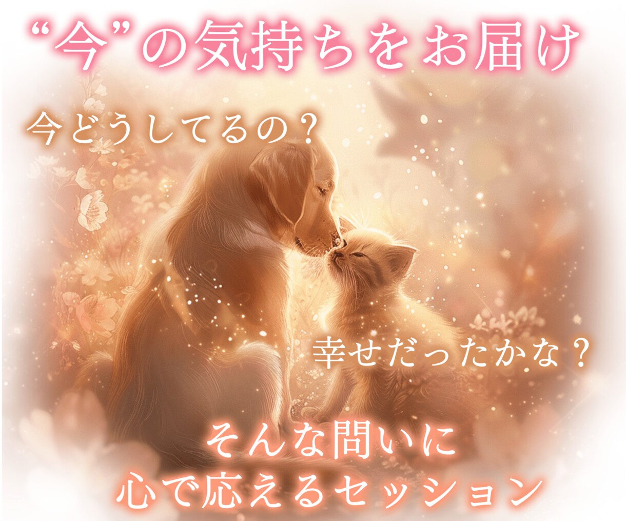 アニマルコミュニケーション/大切な子とお話しします ペットの気持ちをお伝えします♡お空の子も大丈夫です☆ イメージ3