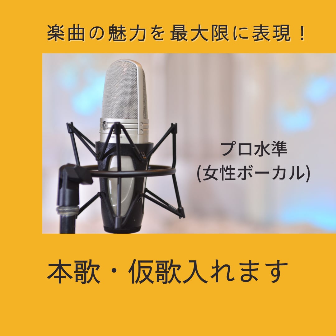 現役のボーカリストがプロ水準の本歌・仮歌を入れます 楽曲の魅力を最大限に表現して欲しい方へ イメージ1