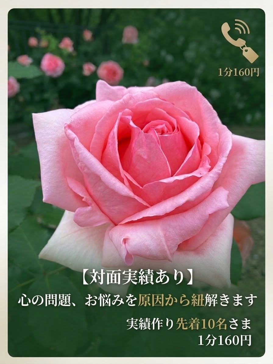 対面実績あり。心の問題、お悩みを原因から紐解きます 実績作り先着10名様悩みの原因を独自の手法で解消を目指します イメージ1