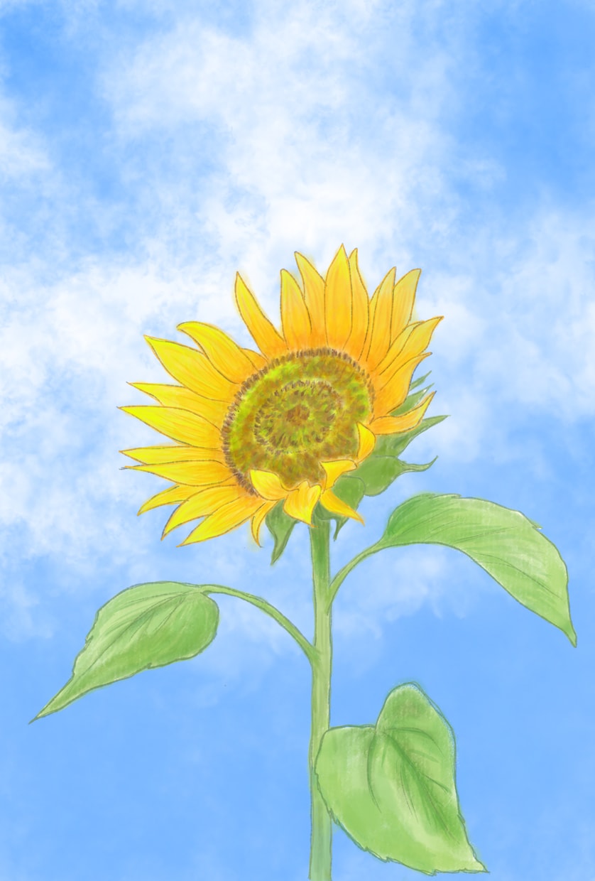 可愛い、シンプル等ご要望にそったイラストを描きます SNSアイコンやインテリアアート、挿絵等におすすめ♪ イメージ2