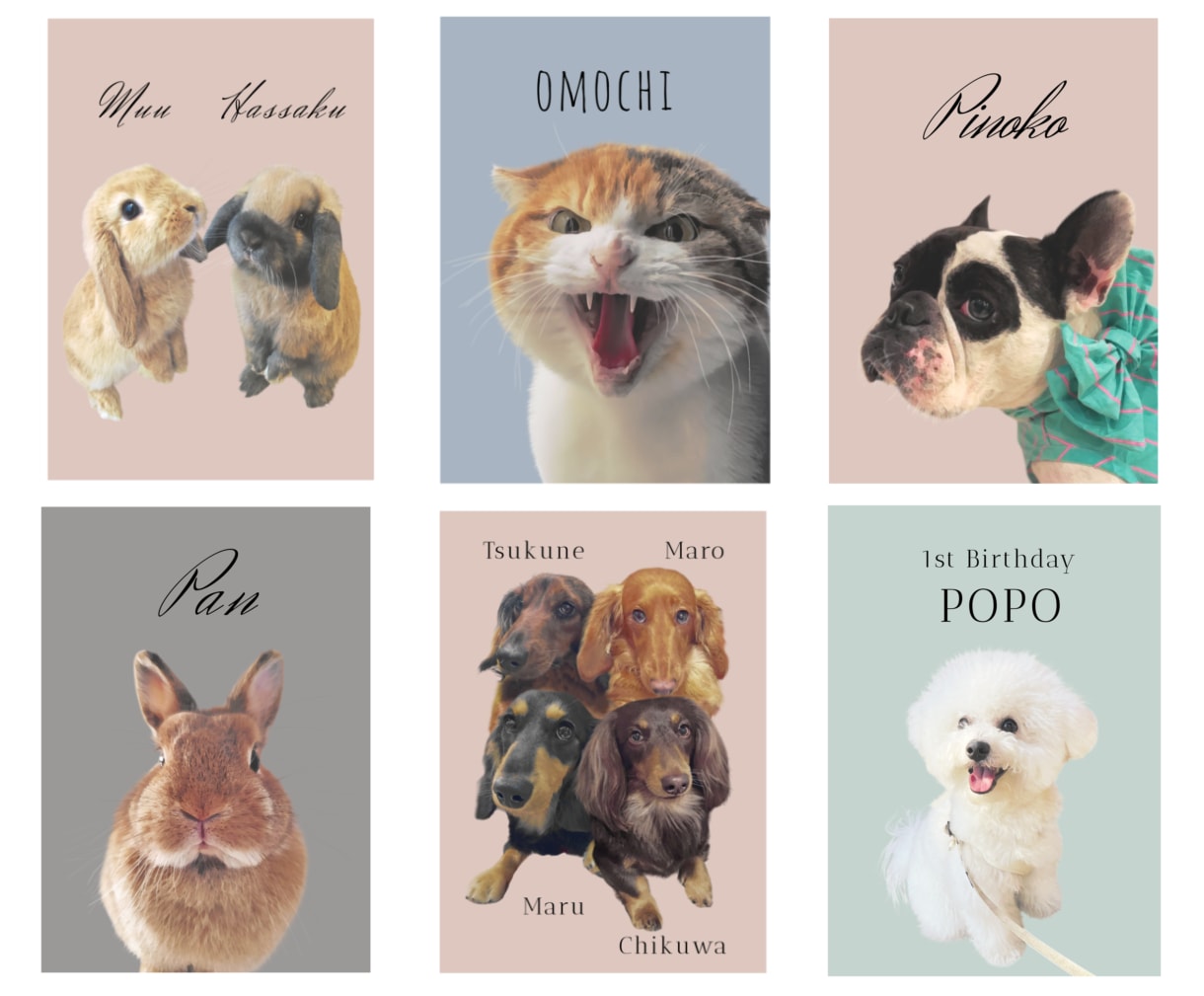 ペット似顔絵｜額縁付可｜お急ぎ可｜イラストにします 猫・犬・爬虫類等リアルでおしゃれなペット似顔絵｜ラッピング可 イメージ2