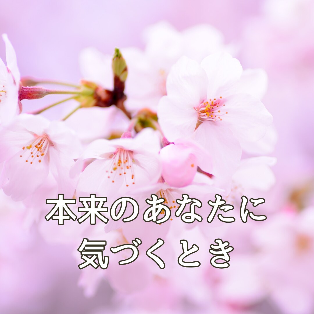 緊張しないお話会！自分らしく生きるきっかけ伝えます 夫婦の今後・子育て卒業✨カードと数秘で心を整える電話鑑定！ イメージ2