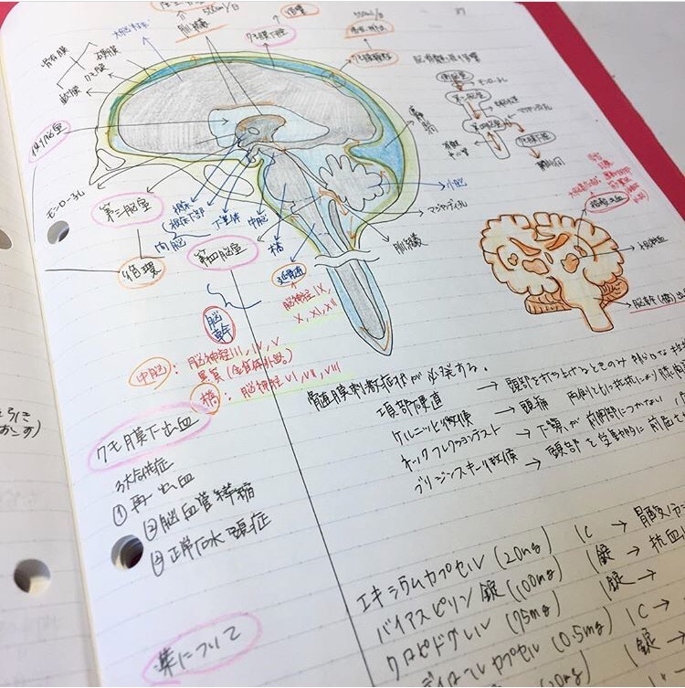 看護の勉強、実習の学習、国試対策アドバイスします 家庭と両立してNSになったインスタフォロワー1万人のNSです イメージ1