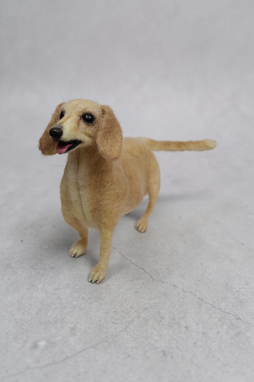 大切な愛犬さんをお作りします 世界にたった一つ♡うちのコ羊毛フェルト♡ イメージ7