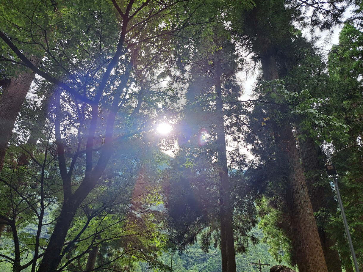 人間だもの色々あります。愚痴だって言いたくなります 愚痴を吐き出してスッキリしましょう！ イメージ1