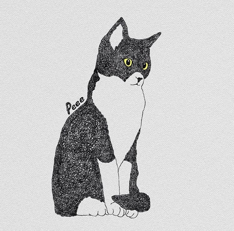 ペットのイラスト描きます ゆるい感じのすてきなイラスト描いて欲しい方。 イメージ7