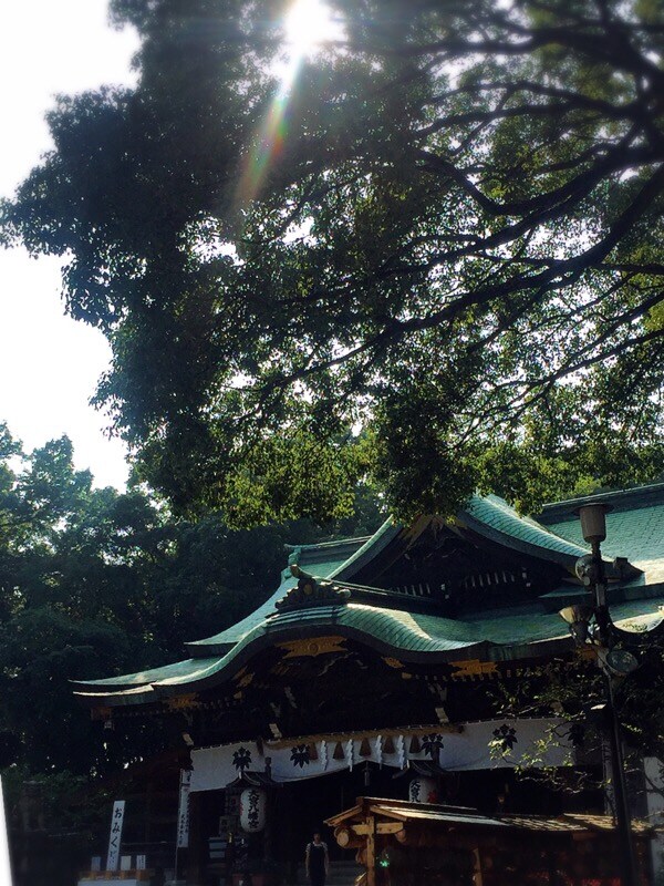 パワースポット大宮八幡宮の代理参拝いたします 忙しい方や遠方の方に代理参拝いたします イメージ2