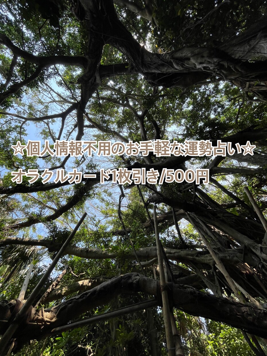 運勢を占います オラクルカードでお気軽に運勢占い イメージ1