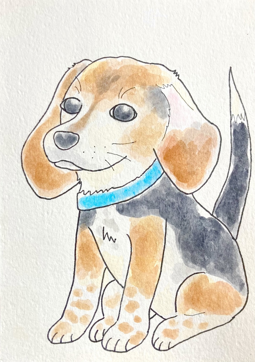 透明水彩絵具で大切なペットのイラストを手描きします そのままプレゼントしたりお部屋に飾れる原画ポストカードです♪ イメージ5