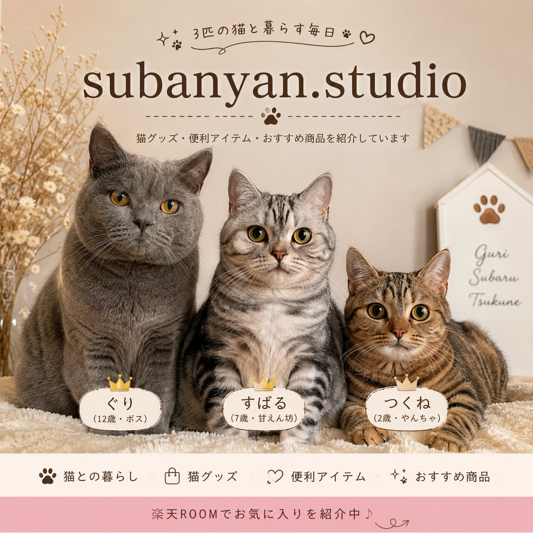 楽天ROOM・SNS画像を作成します かわいく伝わる画像を丁寧に作成します イメージ3