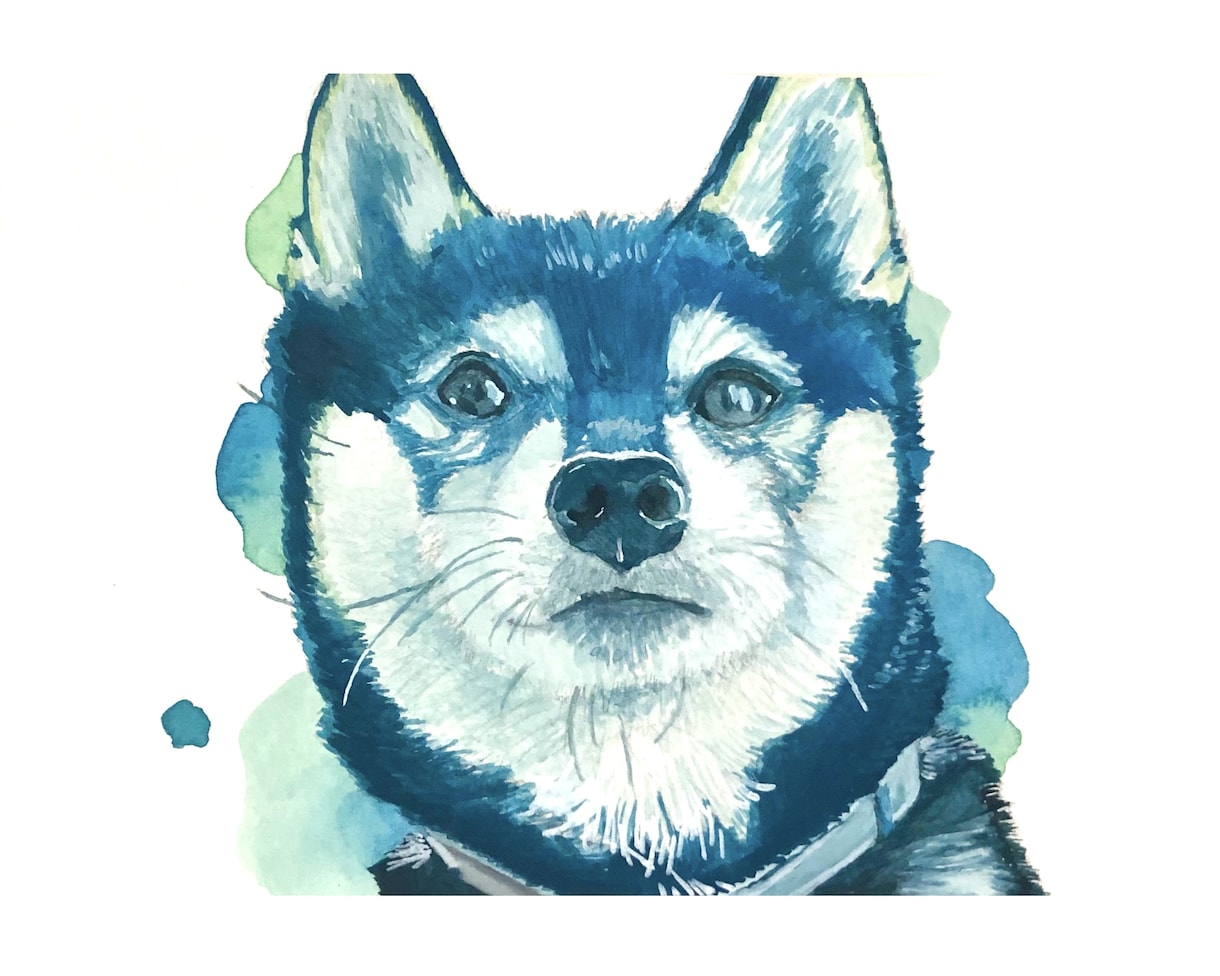 水彩でリアルなペットのイラストを描きます 現在、都合により受付休止中です イメージ4