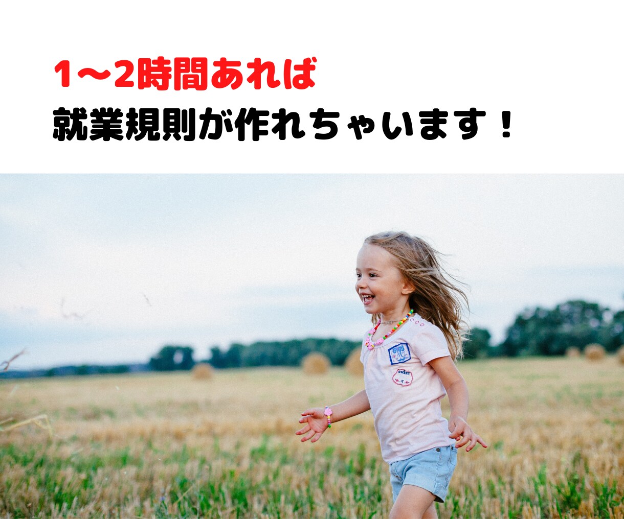 社労士さん向けに就業規則のひな形をお譲りします 賃金規程、育児介護休業規程、テレーワーク規程等もセットです イメージ4