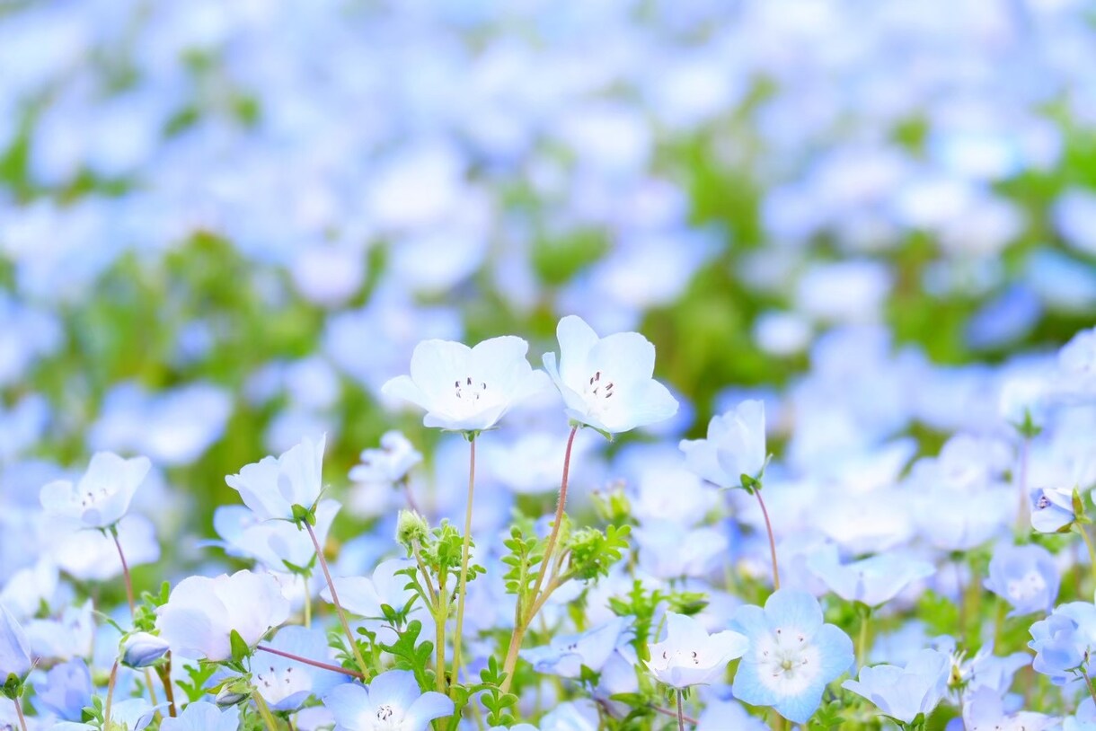 どんな話でもあなたのペースに合わせて聞きます あなたの明日が少しでも豊かになりますように。 イメージ1