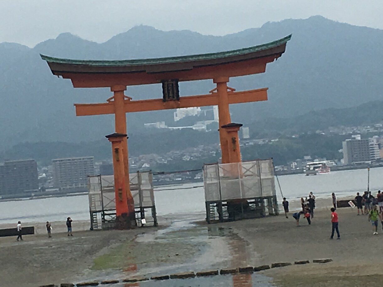 相手と貴女の本当の気持ちがわかるタロット鑑定します 実績1000件！潜在意識✖️タロット鑑定の現役プロの電話占い イメージ10