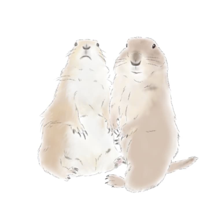 お写真を元に線画イラストを描かせていただきます 写真もいいけど、イラストでしか出せない魅力を〜 イメージ7