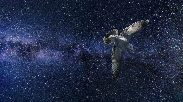 初心者の方もよくわかる!西洋占星術講座します 腑に落ちる宇宙の仕組み*様々な場面に貢献する占星術学習 イメージ4