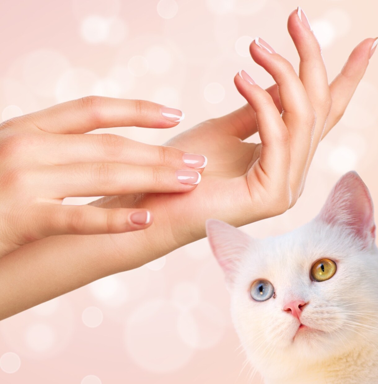もうやりきれない！辛すぎるよ〜！すべてお相手します 何でもうち明けてみて✨優しく受けとめます✨ステージ変えましょ イメージ4