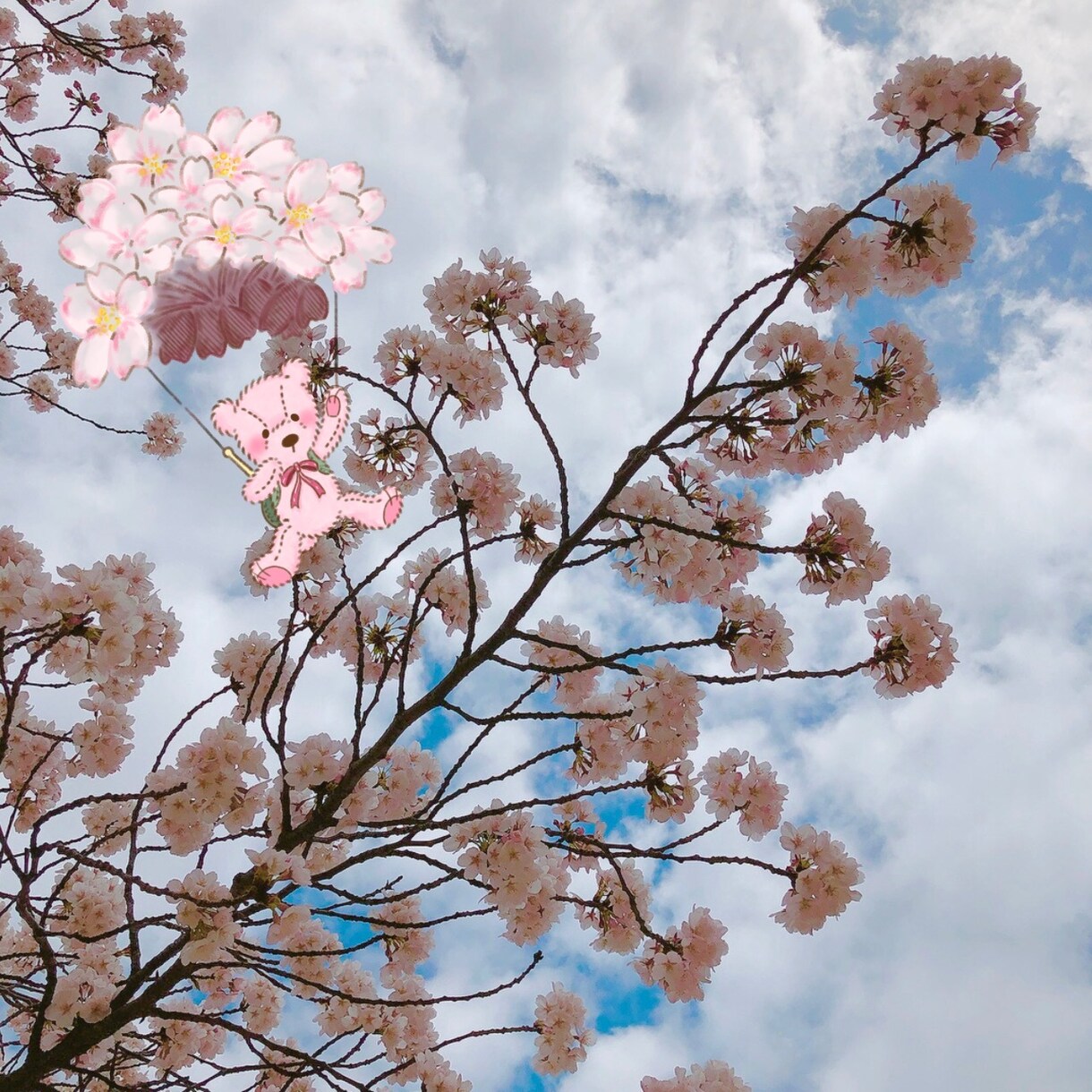 あなたのお写真にかわいくラクガキしちゃいます Instagramやブログで一目引くお写真はいかがですか？ イメージ3