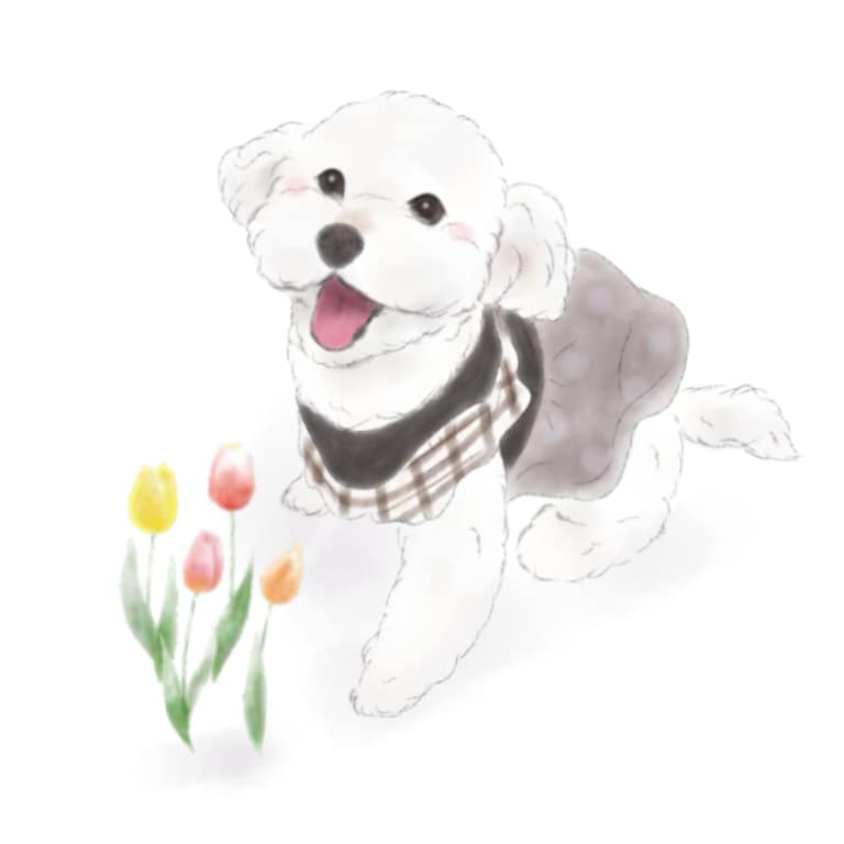 お写真を元に線画イラストを描かせていただきます 写真もいいけど、イラストでしか出せない魅力を〜 イメージ2