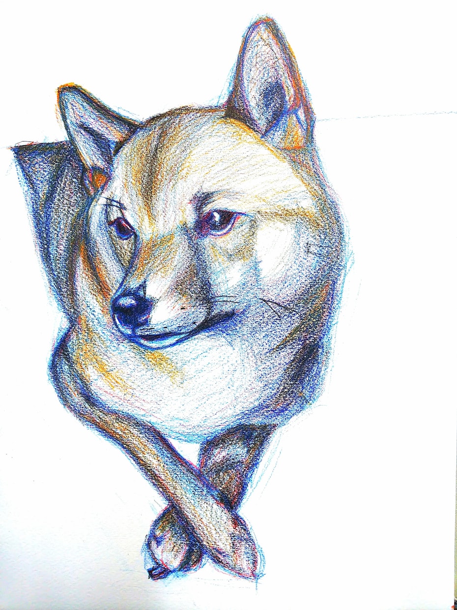 リアルで可愛いペットの肖像画をノリノリで描きます 皆様が愛するペットをふわふわリアルでご提供♪ イメージ6