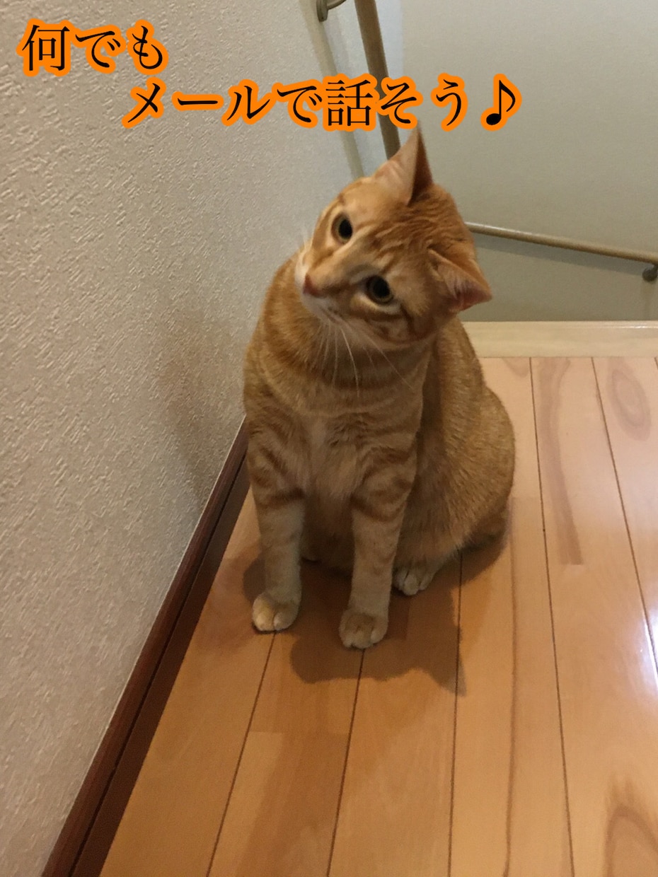何でもLINE感覚で、お話し聞きます 相談・悩み・恋話しなんでもOK イメージ1