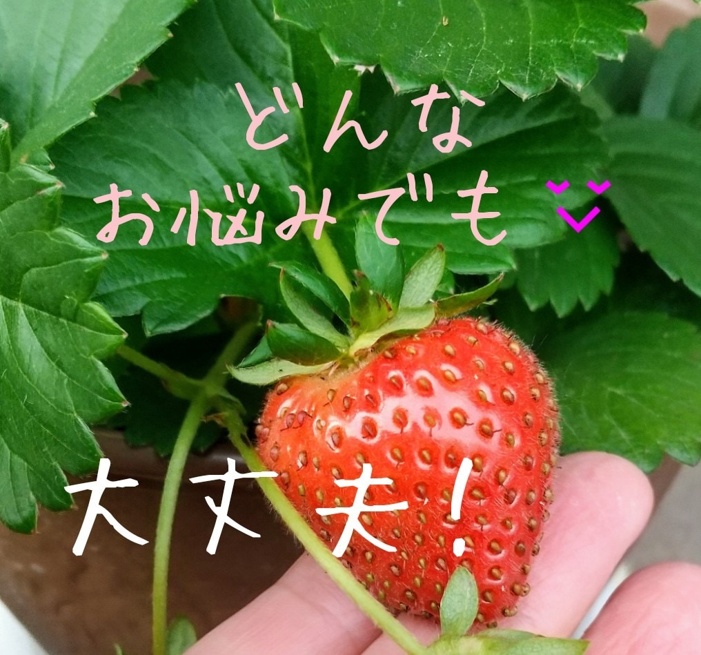 雑談から深刻な悩みまで☆優しく傾聴します 話せて良かったって思って貰えるようにアナタの心に寄り添います イメージ2