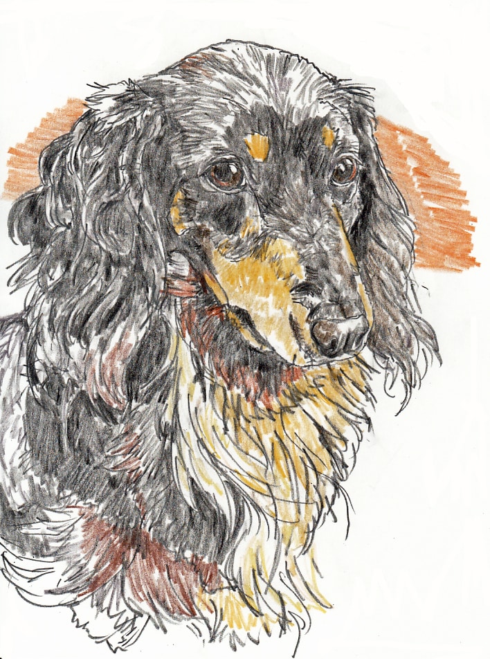 洗練されたモノクロモダンのペット画描きます 愛犬・愛猫の個性を引き立てるリアルなスタイリッシュペット画 イメージ9