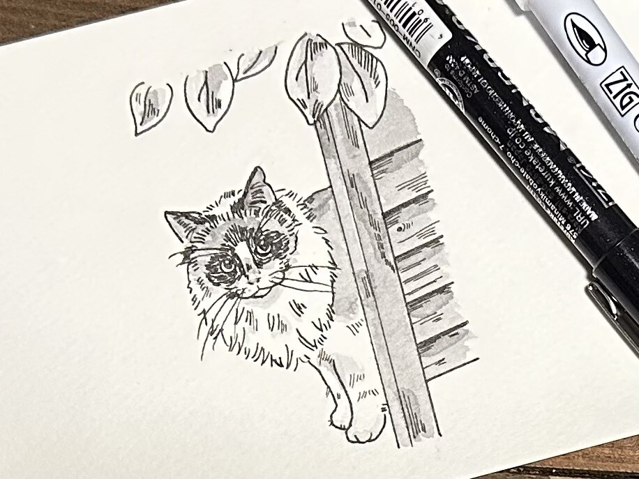 ペットの猫を白黒ペン画でポストカードに描きます アナログのペン画で味のある一枚を〜郵送のみ対応〜 イメージ3