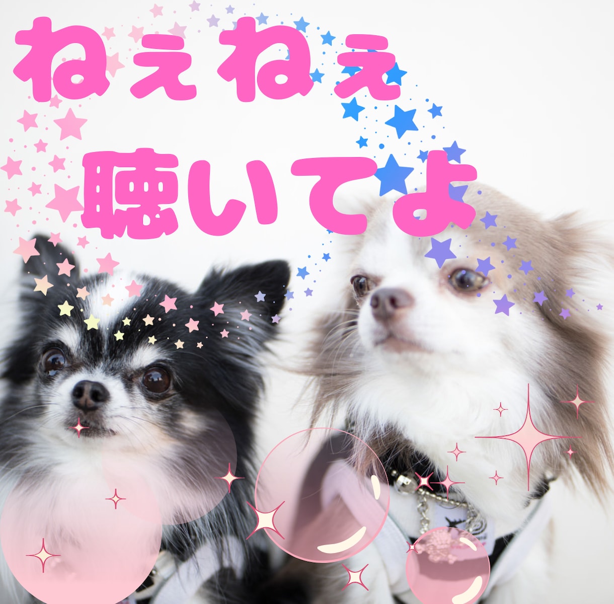 ねぇねぇ聞いて✨心がスッキリするまでお聴きします 今日こんなことがあったの✨☘聴いてくれてありがとう✨☘ イメージ1