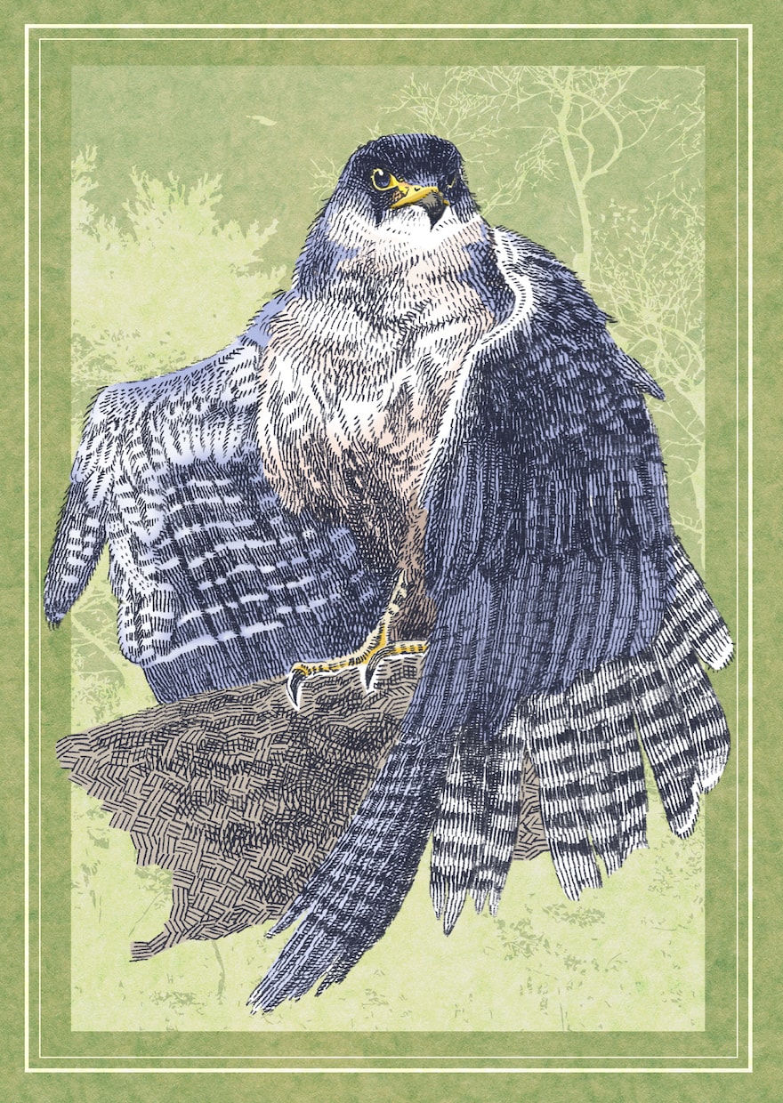 動物のリアルイラスト作成承ります 商品パッケージ等で使える動物イラストが欲しい人 イメージ5