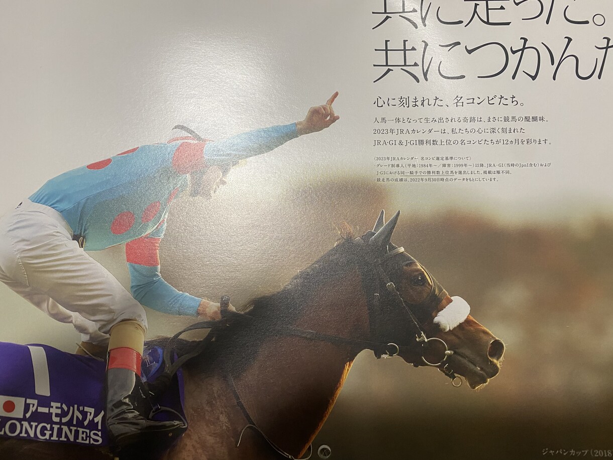 競馬予想・開催別買える馬教えます 厩舎・馬場・産駒・前走着順などから好走する馬を探します イメージ3