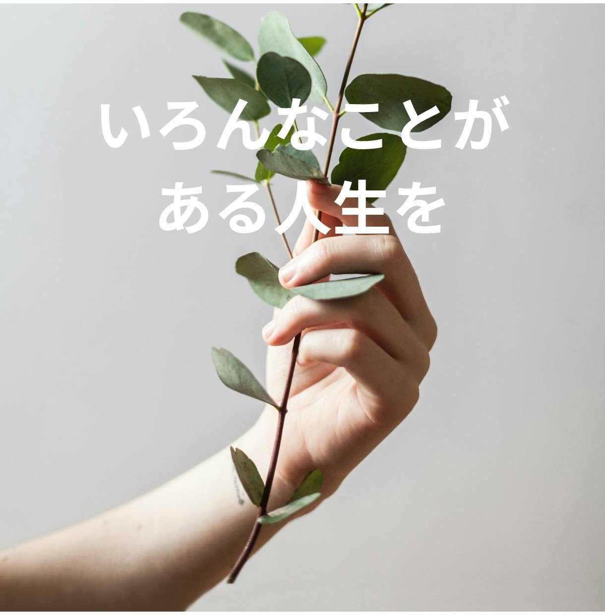あなたのお話を楽しくお聴きします HSPの聞き役と、心に波を立てないお喋りをしてみませんか？ イメージ5