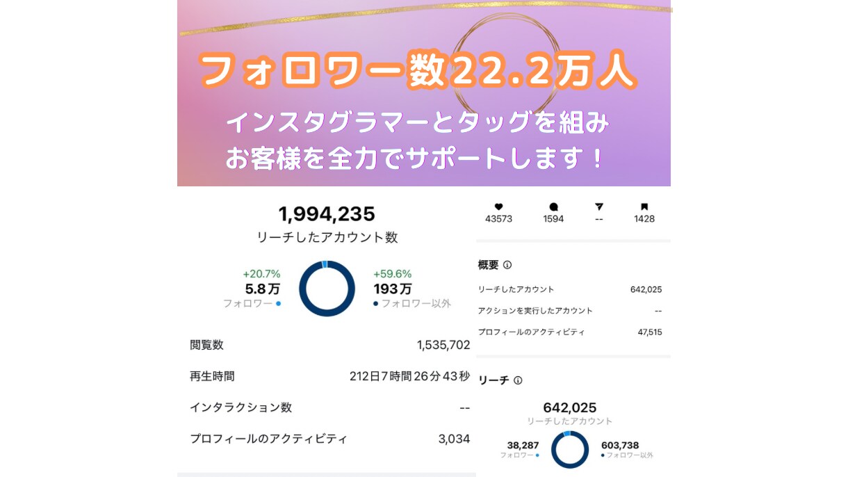 今から伸びるInstagramコンセプト設計します 総フォロワー30万人のインフルエンサーとタッグでサポート！ イメージ3