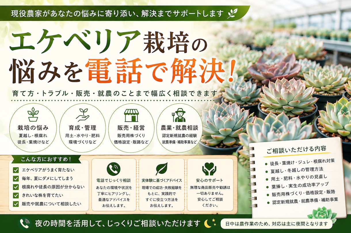現役農家がエケベリア栽培の悩みを電話で解決します 現役生産者が夏越し・根腐れ・徒長の悩みを電話で解決します イメージ1