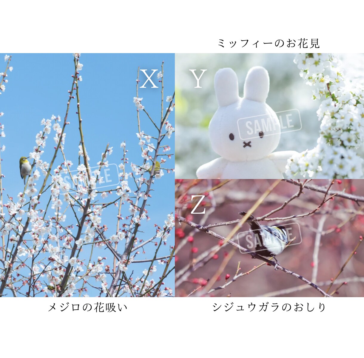 SNSに使える高品質な写真の素材提供します カメラ歴7年の私が撮影したお花や猫の イメージ10